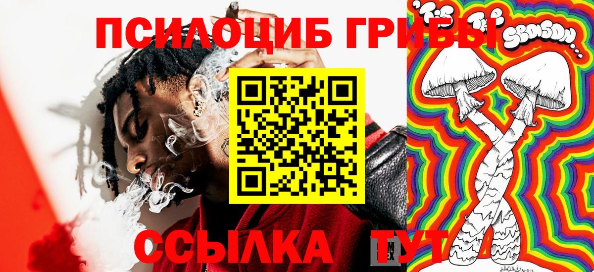 Псилоцибиновые грибы мицелий  Вход с VPN  Красный Сулин 